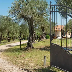 Bed and breakfast Welcomely - Country Olivar